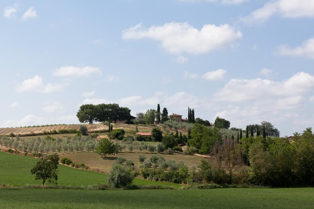 Agriturismo Cignan Rosso Villa Castellina in Chianti Exterior photo