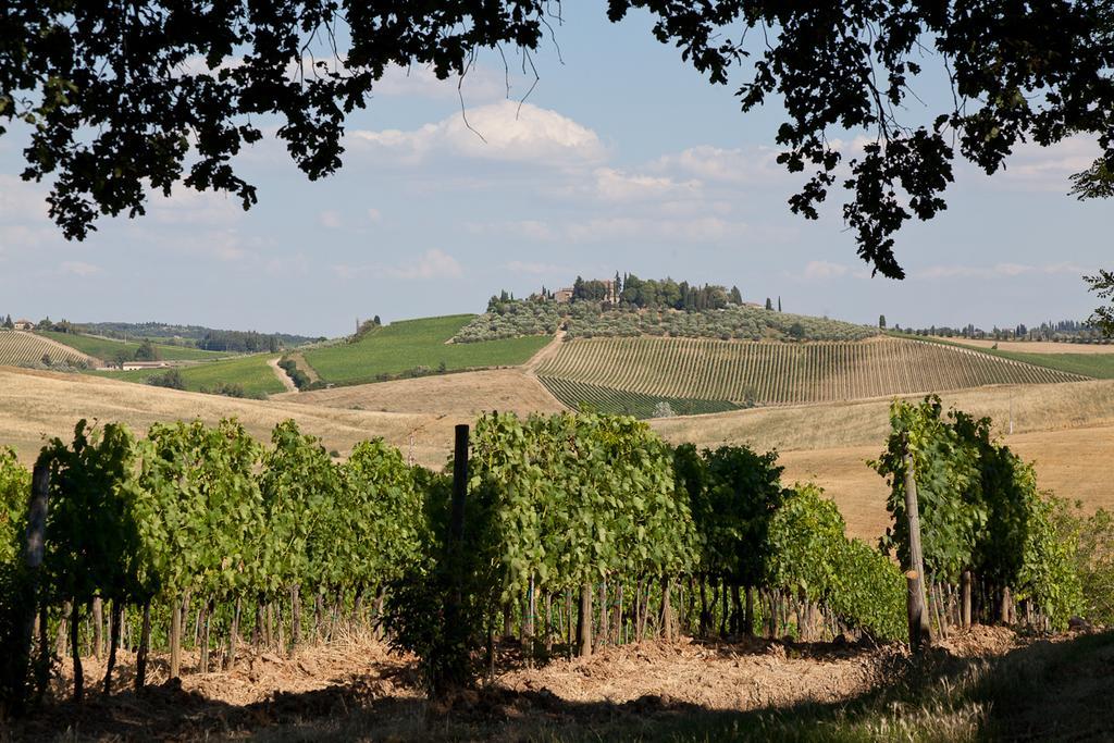 Agriturismo Cignan Rosso Villa Castellina in Chianti Exterior photo